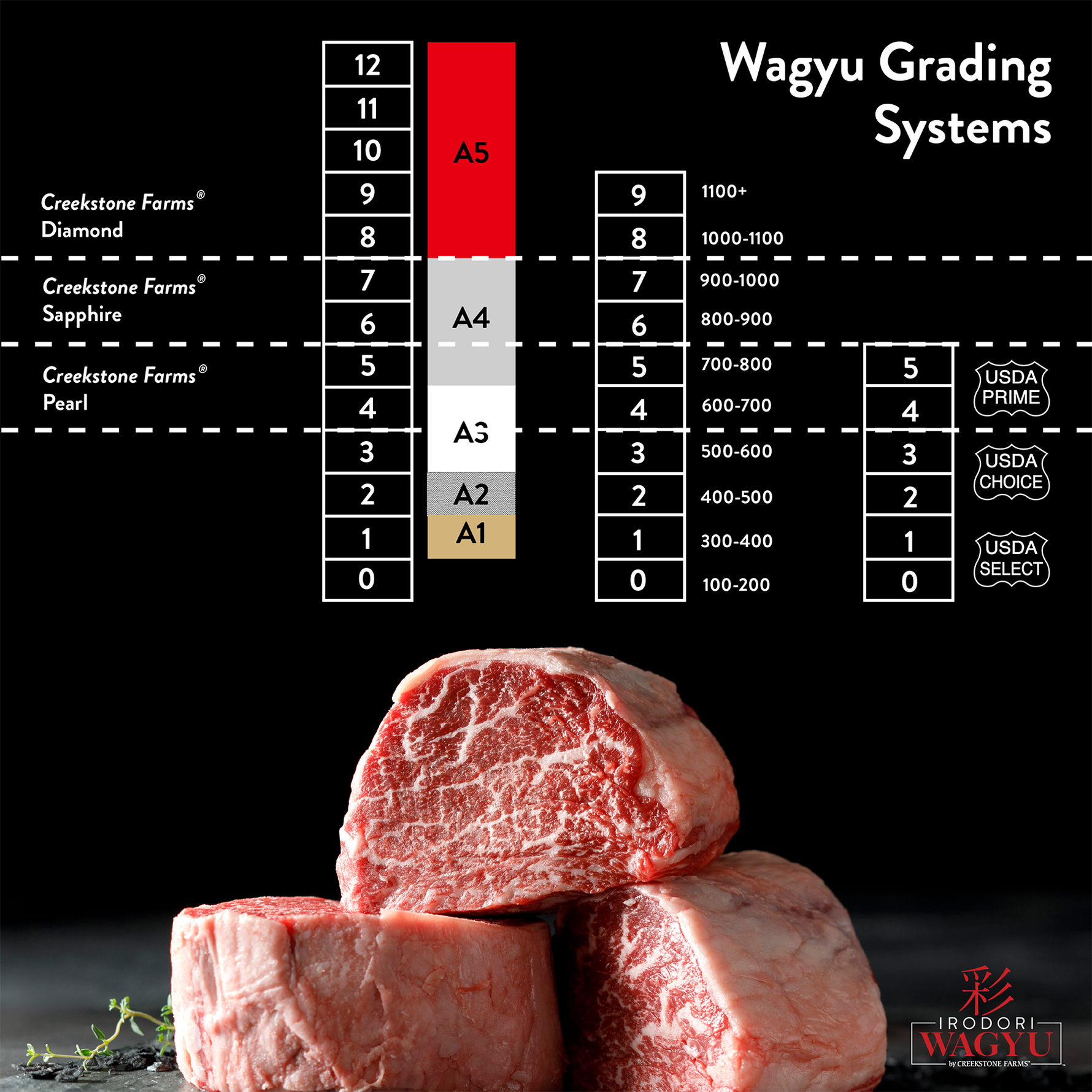 Wagyu grading systems chart with raw beef blocks on a black background