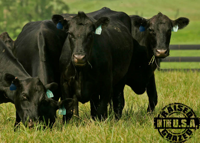 Group of black cows in a grassy field with 'Raised in the USA' stamp.